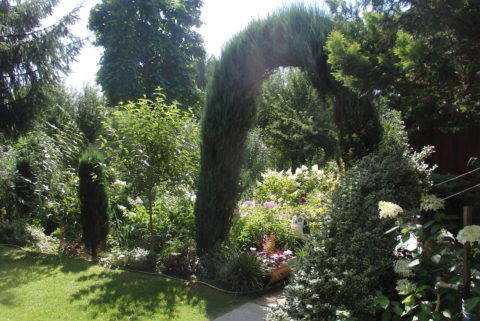 Zdjęcie z galerii Najpiękniejszy… Ogród jak u naszej Babci